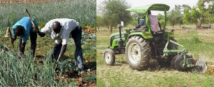AgricultureBFA